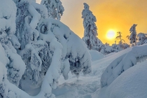 Winter in Finland 