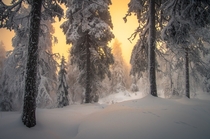 Winter in Finland  by Marko Jortikka