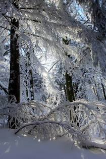 Winter in Owl Mountains Poland 