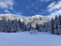 Winter in Slovenia