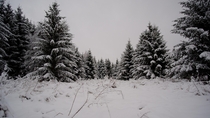 Winter in southern Estonia 