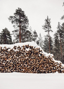 Winter In Swedish Lapland