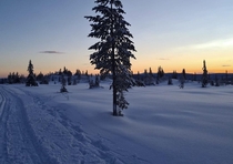 Winter in Trysil Norway