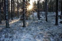 Winter is coming to Sweden and the sun never rises high above the horizon 