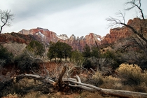 Winter Morning on the Parus Trail -- Zion National Park UT 