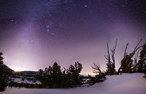 Winter Night Sky over The Mt Rose  Sheep Flat meadow last night with Carson down to the left and Lake Tahoe peaking through the branches center-right One of the most technically challenging photos Ive ever taken 