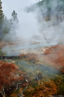Winter really makes Yellowstone NP look even more like an alien planet 