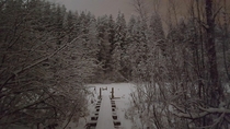 Winter scene  Finland
