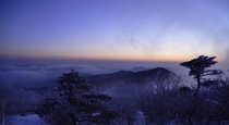 Winter Sunrise - Taebaeksan National Park South Korea x 