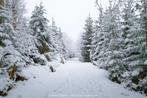Winter walk in Switzerland  IG antongalitch