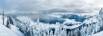 Winter wonderland at Hurricane Ridge Washington as the fog moves in over the mountains of Olympic National Park
