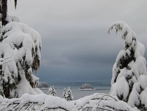 Winter wonderland in Juneau Alaska OCx