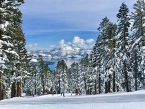 Winter Wonderland in Lake Tahoe CA  Taken atop Northstar Mountain