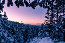 Winter wonderland Vancouver Island BC 