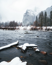 Winter Wonderland - Yosemite CA 