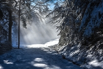 Wintertime Walking Path 