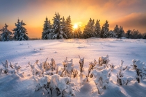 With this golden winter sunset photo I wish you nice Christmas holidays  Sauerland Germany  Insta alex_lauterbach