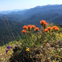 Wolf Rock Oregon with some lovely indian paintbrush on the summit 
