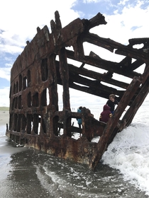 Wreck of the Peter Iredale Warrenton Oregon