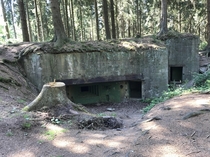 WW German Siegfried line bunker in the Huertgen Forest near Simonskall Germany