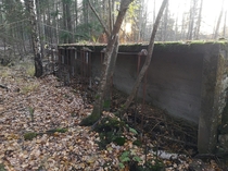 WWII foxhole with a pulley system of some sort in the woods outside Oslo Norway