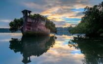 -Year-Old Abandoned Ship is now a Floating Forest loceted in Homebush Bay Sydney Australia x