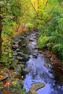Yellow Creek in Fall Rosedale 