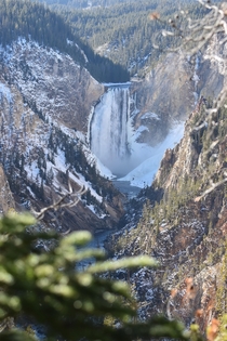 Yellowstone Falls WY 