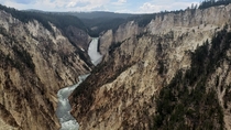 Yellowstone Falls  -  x 