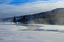 Yellowstone in Winter 