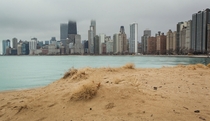 Yesterday at North Avenue Beach Chicago 