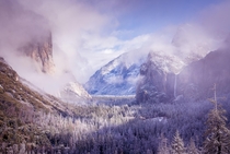 Yosemite after a winter storm like a dreamland 