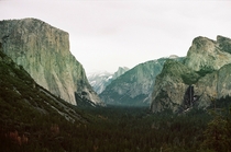 Yosemite as taken with a  year old film camera 