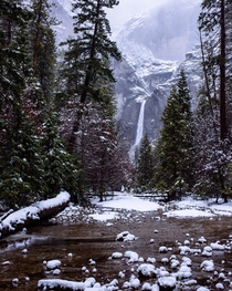 Yosemite creek and Lower Yosemite Falls from this past winter 