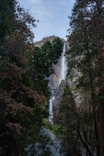 Yosemite falls 