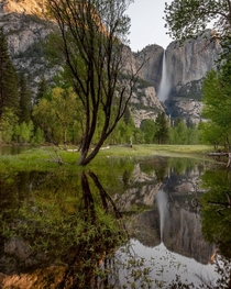 Yosemite Falls CA jasonckopp 