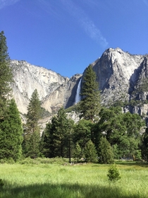 Yosemite Falls from the valley floor in May 