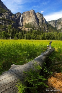 Yosemite Falls in the Yosemite National Park in California USA 