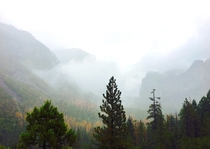 Yosemite Fog NP OC 
