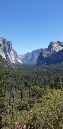 Yosemite National Park from the Tunnel View viewpoint x 