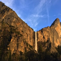 Yosemite National Park OCx