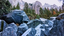 Yosemite National Park  x 