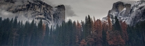 Yosemite Valley during a break in a storm 