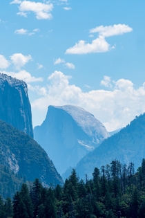 Yosemite Views  