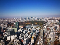 Yoyogi Park on a beautiful autumn day as seen from Shibuya OC