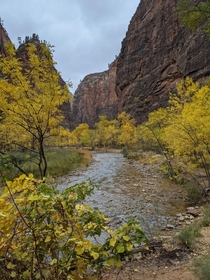 Zion National Park in the Fall 