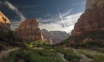 Zion National Park is always lovely in the morning x
