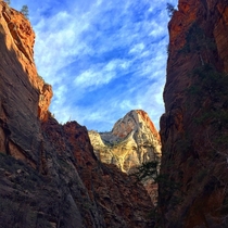 Zion National Park taken from the popular Narrows hike OCx