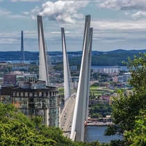 Zolotoy Rog Bridge Vladivostok Russia