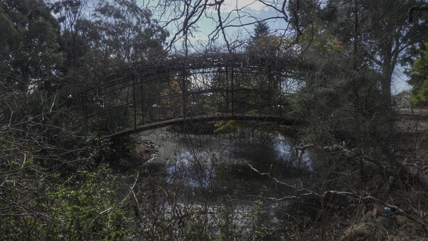  A bridge captured by vines at an abandoned mansion Australia